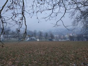 Allgemeines