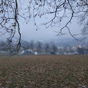 Allgemeines